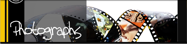 Prone position, coached, team rifleman in aim